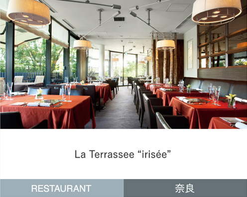 La Terrassee “irisee”